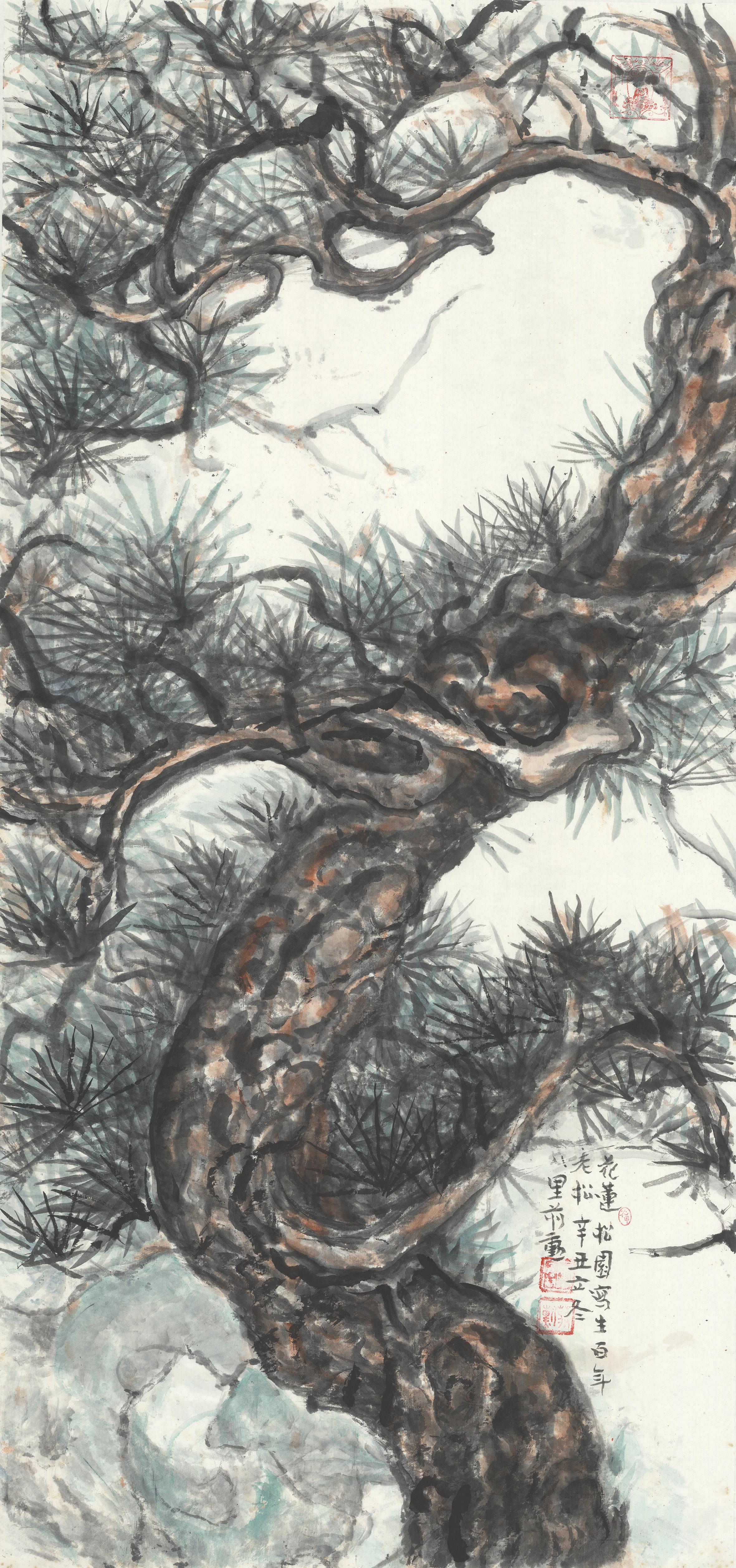 花蓮松園寫生百年老松