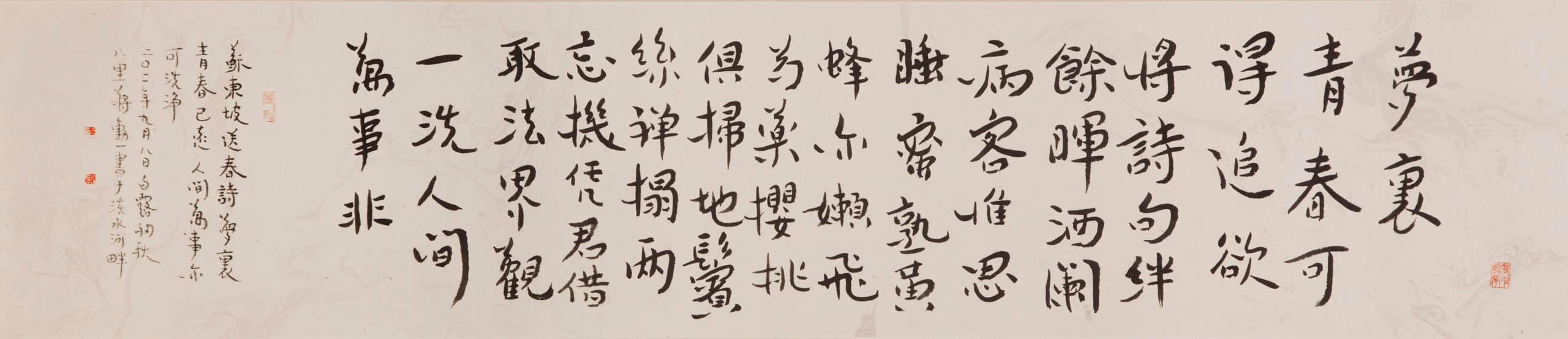 夢裡青春可得追