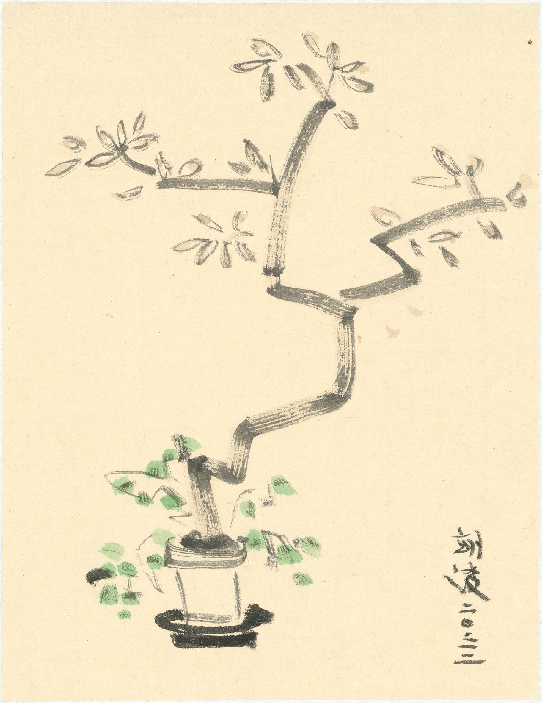 雞蛋花與薄荷葉