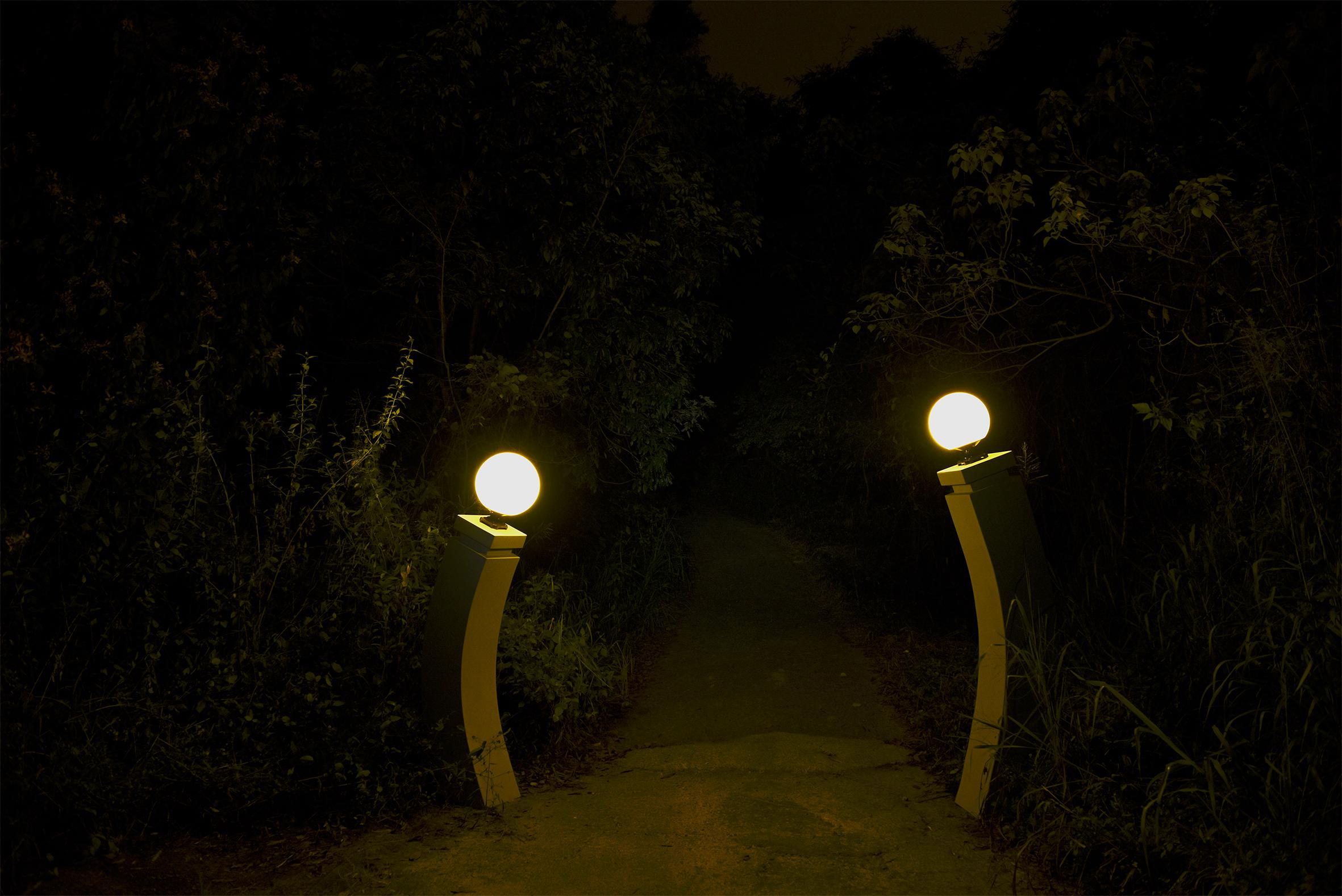 Picture of the artwork