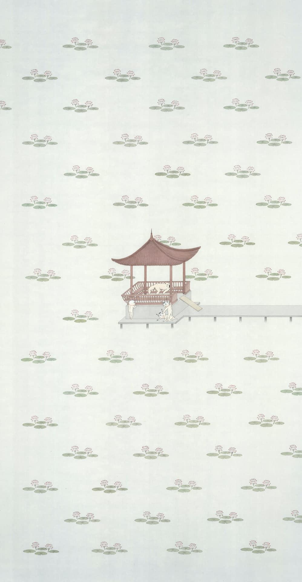 夏日清晨的蓮花池畔