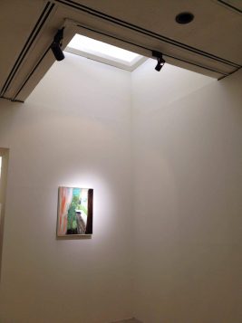 Lin, Yi-Wei @ 2016 Taipei Biennial
